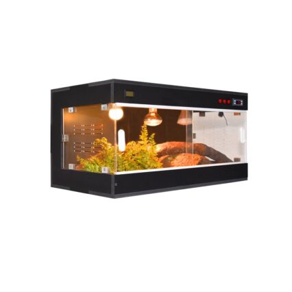 Reptile Enclosures