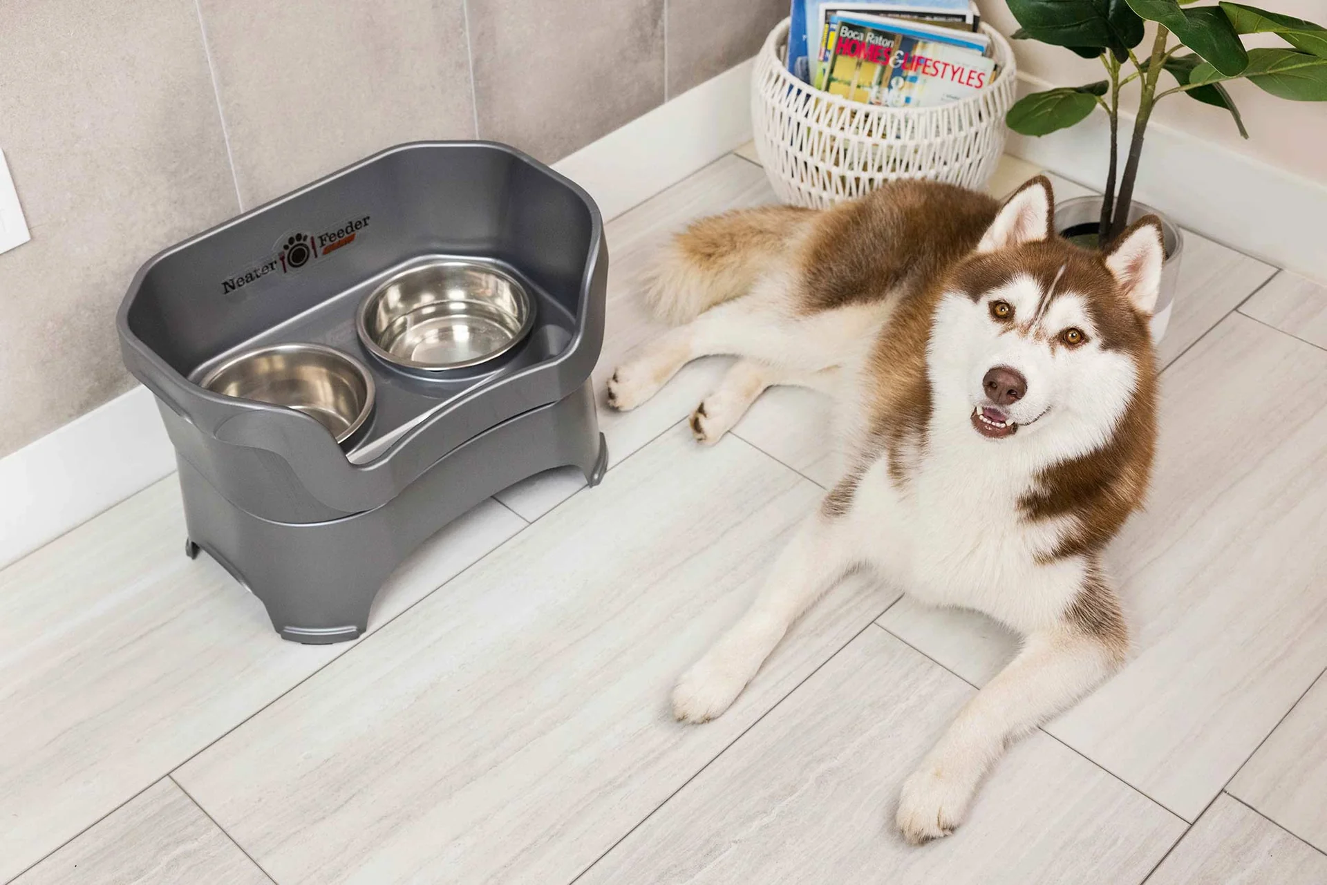 healthy pets