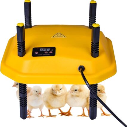 Brooder heating plate for chicks