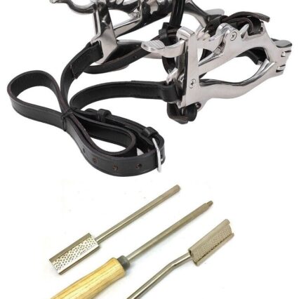 Equine Horse Dental Mouth Gag Speculum Stainless Steel with Dental Float-RASP