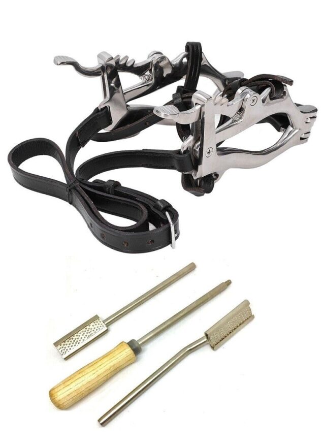 Equine Horse Dental Mouth Gag Speculum Stainless Steel with Dental Float-RASP