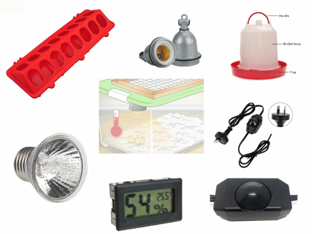 Basic Brooder Kit