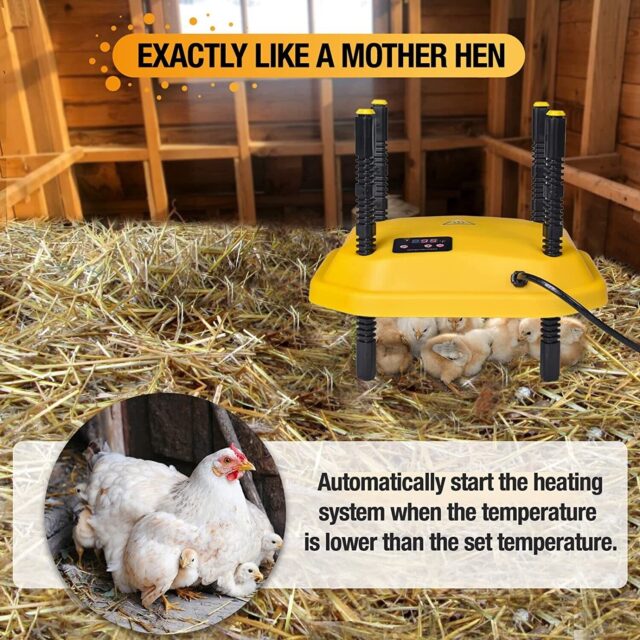 Brooder heating plate for chicks - Image 2