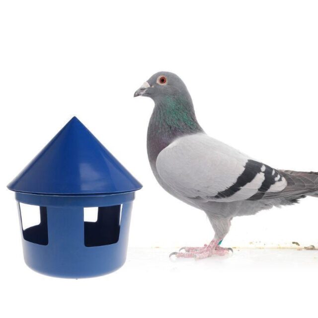Pigeon Food Container - Image 2