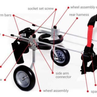 Medium  Best Friend Dog Mobility Wheel chair - Image 2