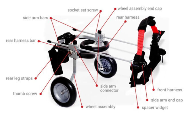 Medium  Best Friend Dog Mobility Wheel chair - Image 2