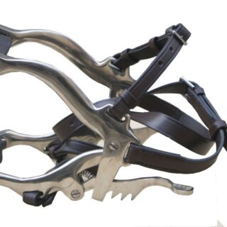 Equine Horse Dental Mouth Gag Speculum Stainless Steel with Dental Float-RASP - Image 2