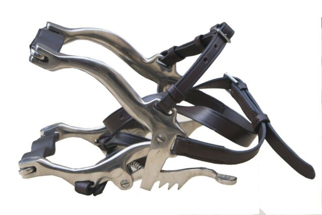 Equine Horse Dental Mouth Gag Speculum Stainless Steel with Dental Float-RASP - Image 2