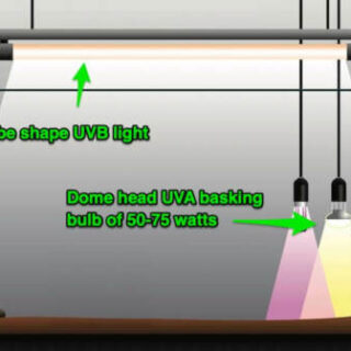 39 WATT/ 3 Feet Reptile T5 UVB fitting + 39 Watt UV tube 10. Desert Reptiles. - Image 3