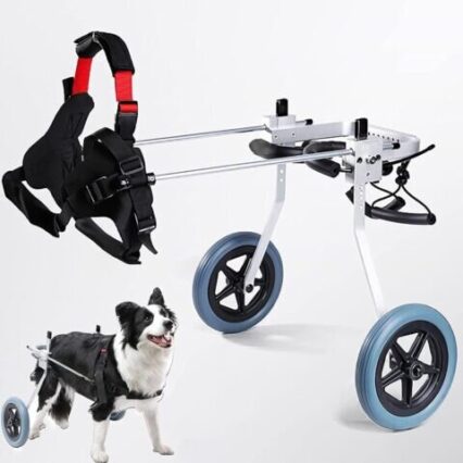 Medium  Best Friend Dog Mobility Wheel chair
