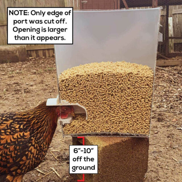 DIY Gravity Poultry Feeder Kit: Make your own feeder - Image 3