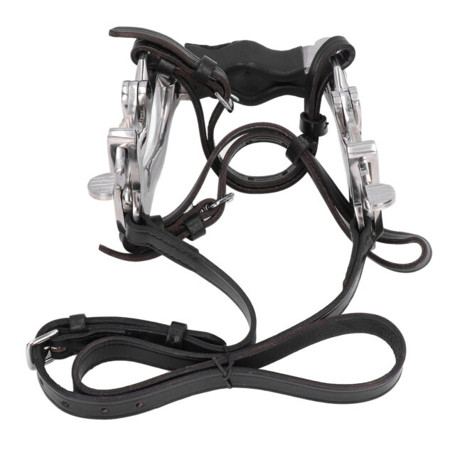 Equine Horse Dental Mouth Gag Speculum Stainless Steel with Dental Float-RASP - Image 3