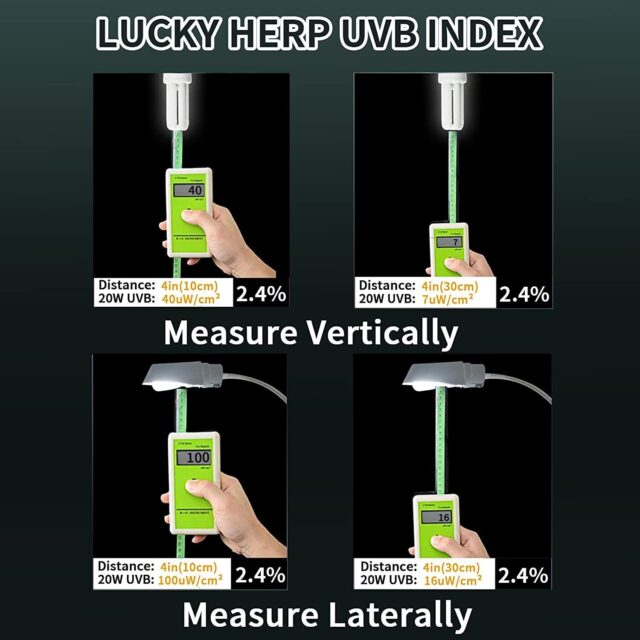 UVB Flourescent Lamp Aviaries - Image 3
