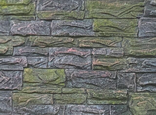 Reptile cage 3D EPS Rock background