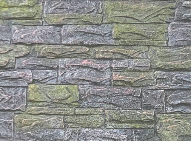 Reptile cage 3D EPS Rock background