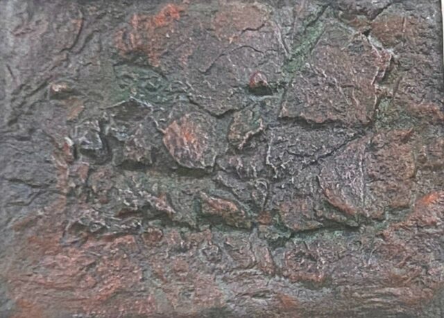 Reptile cage 3D EPS Rock background