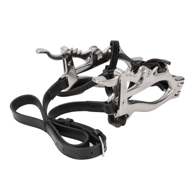Equine Horse Dental Mouth Gag Speculum Stainless Steel with Dental Float-RASP - Image 4