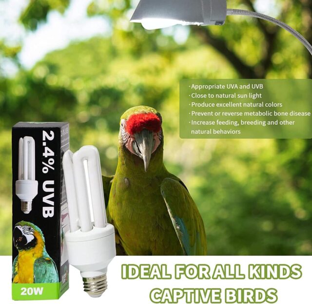 UVB Flourescent Lamp Aviaries - Image 4