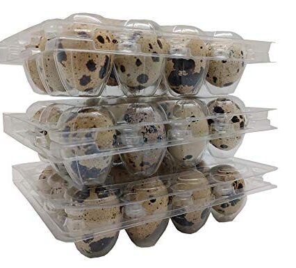 Bulk Buy -12 eggs Cartons