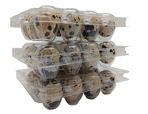 Bulk Buy -12 eggs Cartons