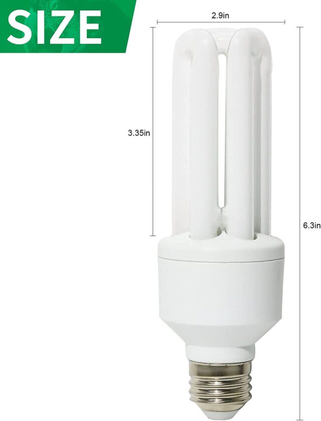 UVB Flourescent Lamp Aviaries - Image 5