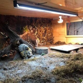 39 WATT/ 3 Feet Reptile T5 UVB fitting + 39 Watt UV tube 10. Desert Reptiles. - Image 5