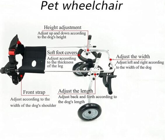 Medium  Best Friend Dog Mobility Wheel chair - Image 5
