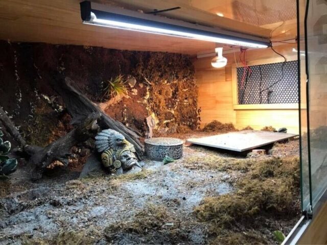 24 WATT/ 2 Feet Reptile T5 UVB Fitting and Tube light - Image 5