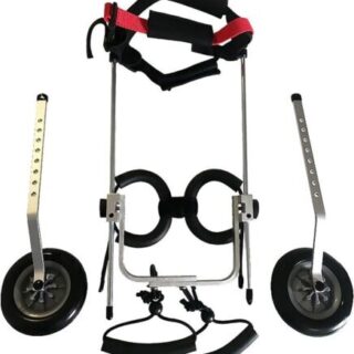 Medium  Best Friend Dog Mobility Wheel chair - Image 6