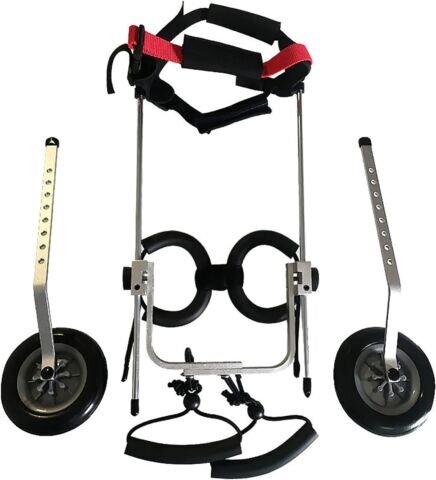 Medium  Best Friend Dog Mobility Wheel chair - Image 6