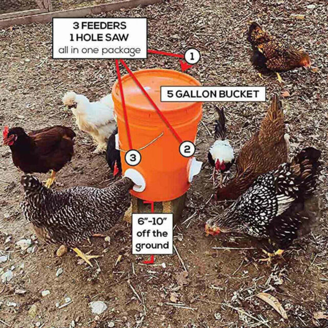 DIY Gravity Poultry Feeder Kit: Make your own feeder - Image 6