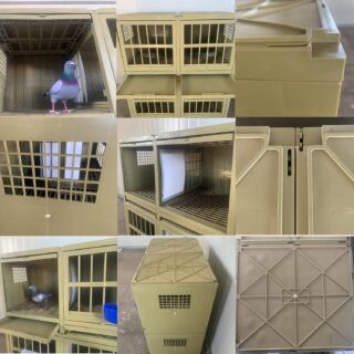 Pigeon Cage Breeding Cage for Pigeon Pairing Cage - Image 4