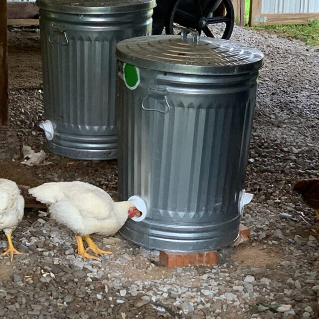 DIY Gravity Poultry Feeder Kit: Make your own feeder - Image 8