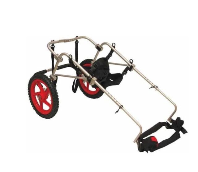 Large - Best Friend  Dog Mobility Wheel chair