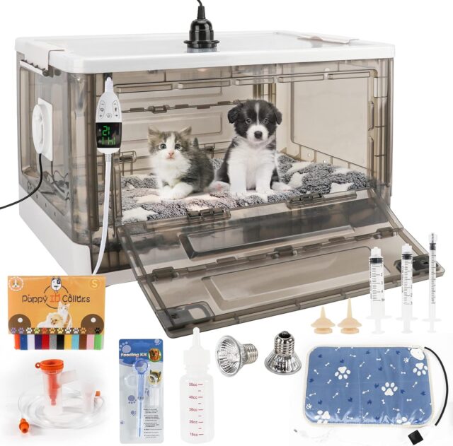 Puppy / Kitten /  Wildlife Incubator