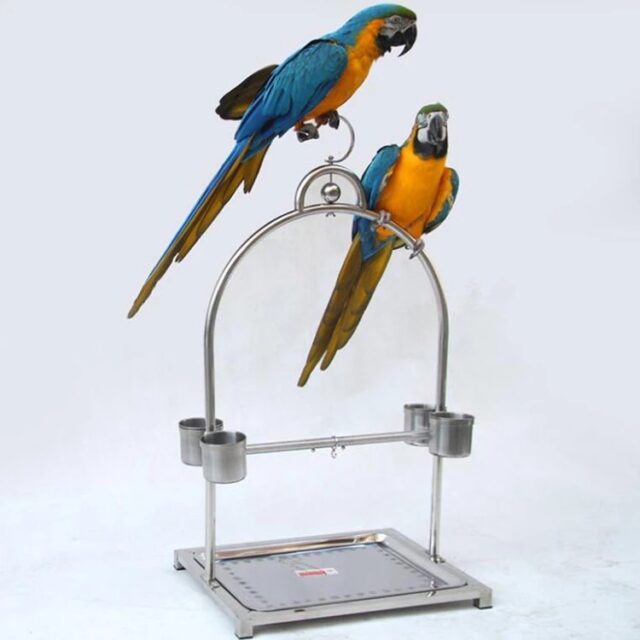 Parrot Feeding Station Small Size