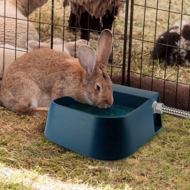 Pet / Dog/ Cat / Rabbit/ Chooks 2 litre auto drinking bowl - Image 5