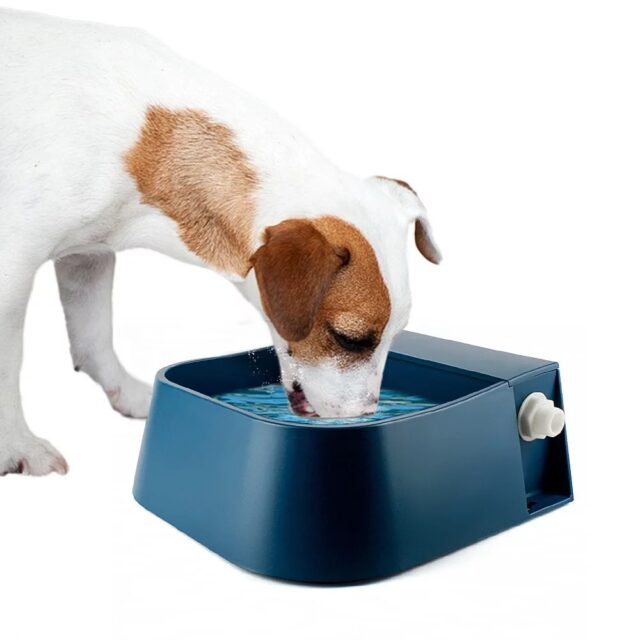 Pet / Dog/ Cat / Rabbit/ Chooks 2 litre auto drinking bowl - Image 2