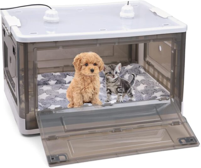 Puppy / Kitten /  Wildlife Incubator - Image 2