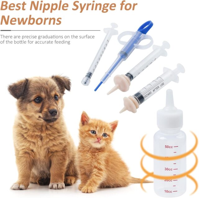 Puppy / Kitten /  Wildlife Incubator - Image 3
