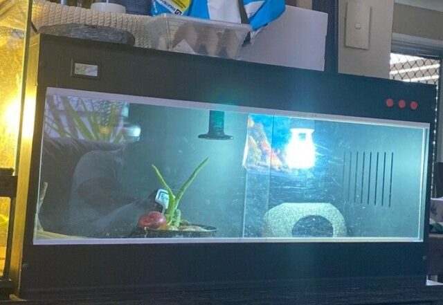 PVC Reptile Enclosure 60 cm x 40 cm x 40 cm with Thermostat - Image 3