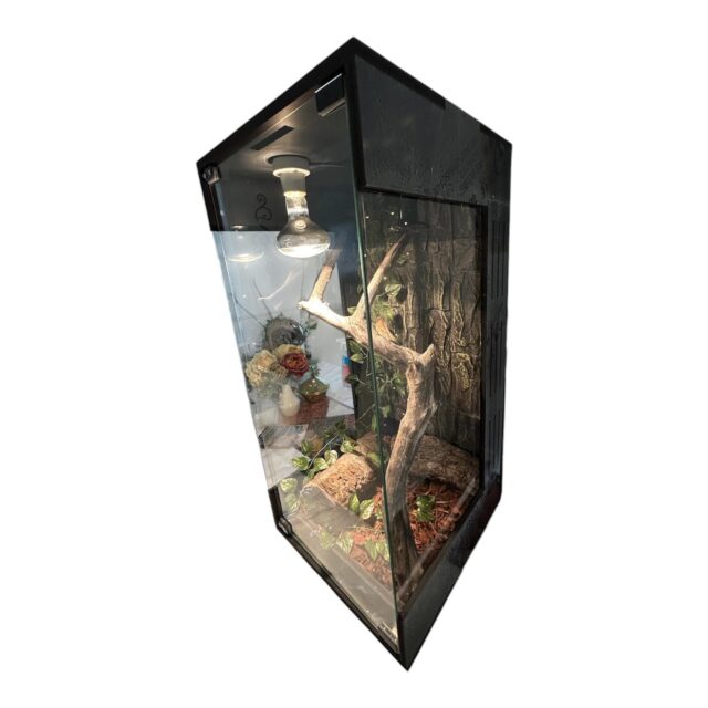 Vertical 60x40x40 Reptile Enclosure Clone - Image 2