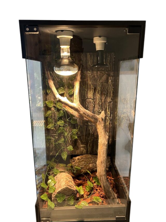 Vertical 60x40x40 Reptile Enclosure Clone - Image 4
