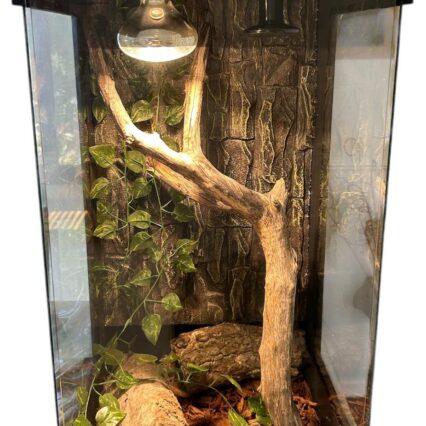 Vertical 60x40x40 Reptile Enclosure Clone