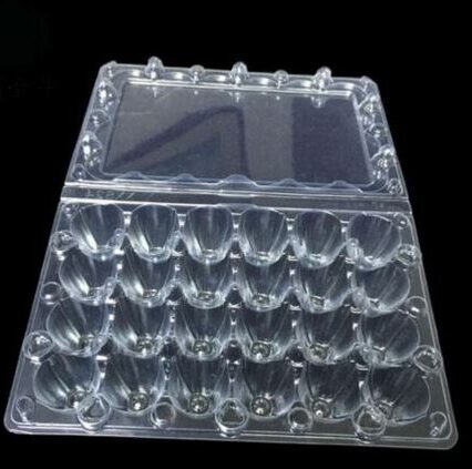 50 Quail Egg cartons 24 holes