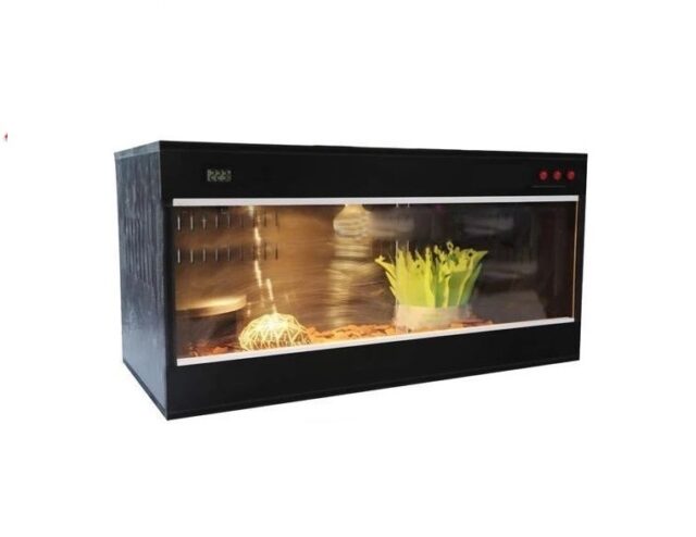 100x50x50 cm Reptile/Bearded Dragon Enclosure  With External Thermostat