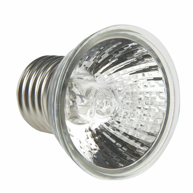 Brooder Kit : UVA+UVB Bulb - Image 8