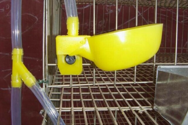 Cages for Quail farming - Image 5