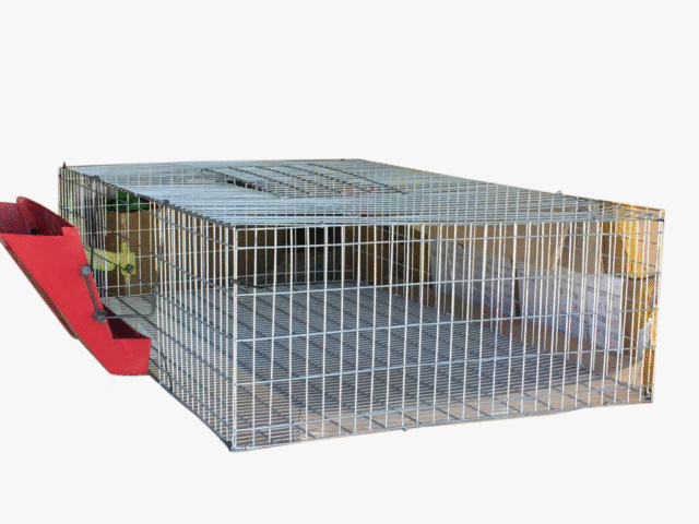 Cages for Quail farming