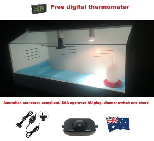 Brooder 78 - Image 13